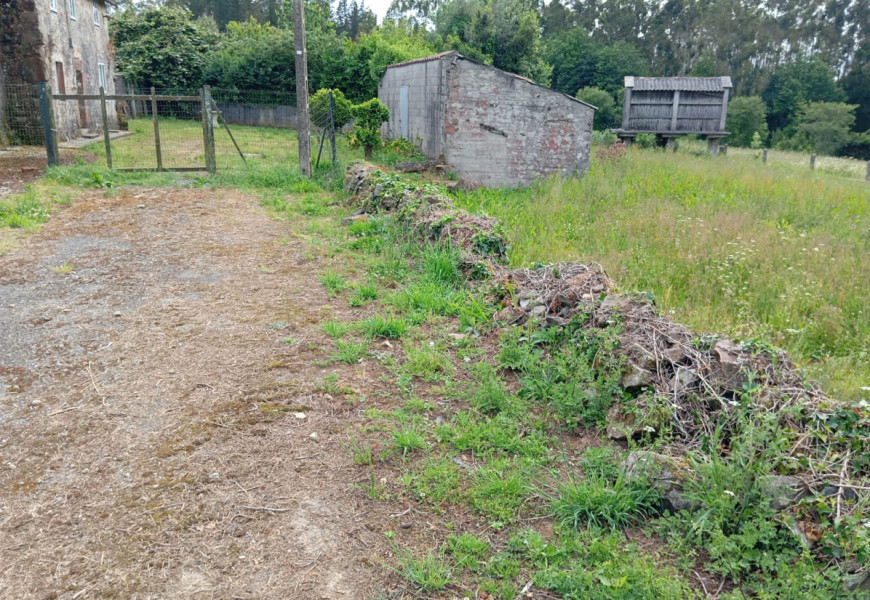 CASA EN ENTRECRUCES CON FINCA