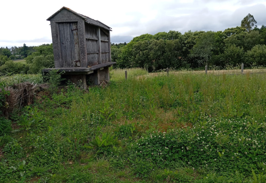 CASA EN ENTRECRUCES CON FINCA