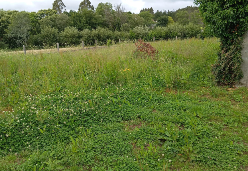 CASA EN ENTRECRUCES CON FINCA