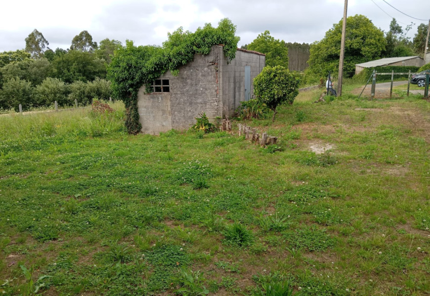 CASA EN ENTRECRUCES CON FINCA