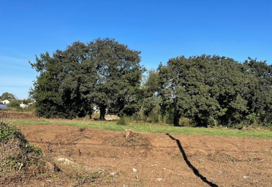 Casa para restaurar con finca amplia en Bertoa