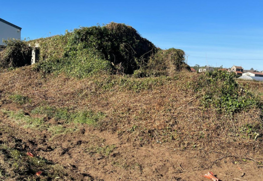 Casa para restaurar con finca amplia en Bertoa