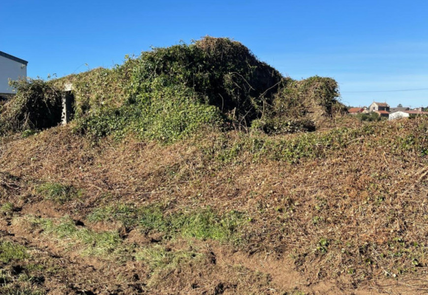 Casa para restaurar con finca amplia en Bertoa