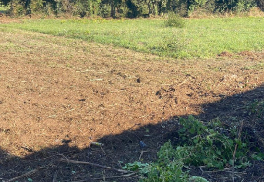 Casa para restaurar con finca amplia en Bertoa
