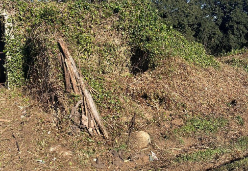 Casa para restaurar con finca amplia en Bertoa